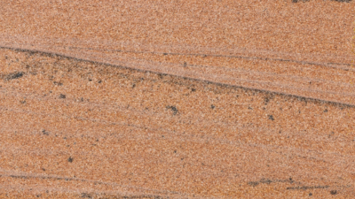 Locharbriggs Red Locharbriggs Red