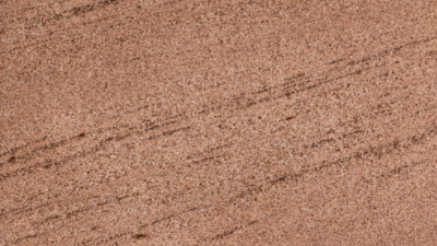 St Bees Red St Bees Red