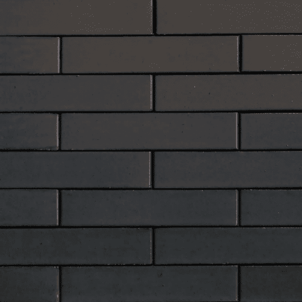 VGTGN01